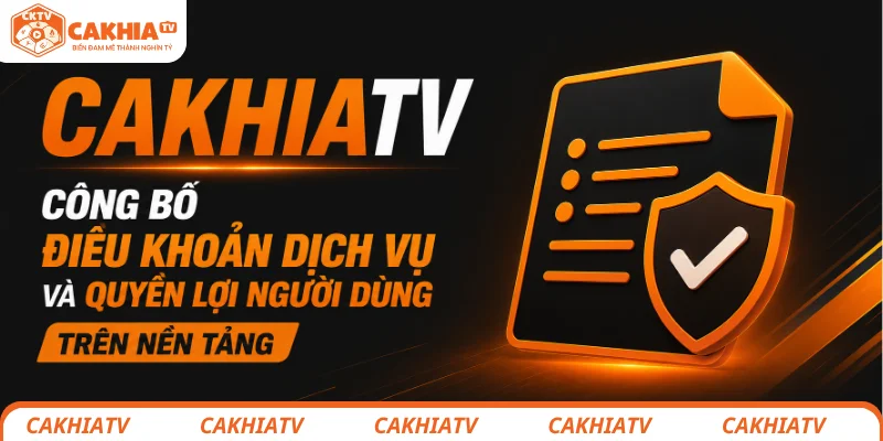 Người hâm mộ tìm hiểu điều khoản dịch vụ CakhiaTV trước khi sử dụng nền tảng